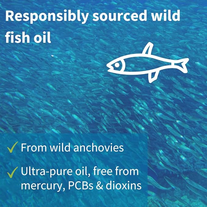 Vegepa Omega 3 Wild Fish Oil 560 mg 60 Small