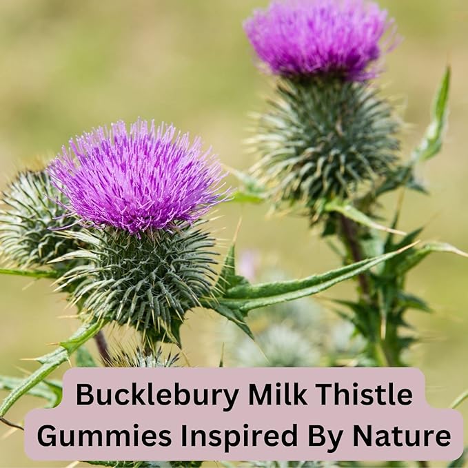 Sugar-Free Milk Thistle Gummies 1,000mg 60 Gummies