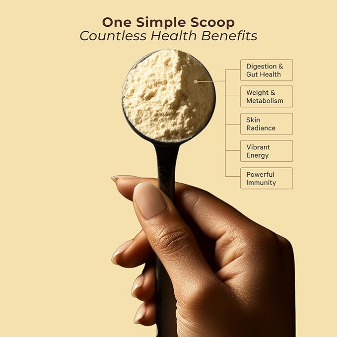 LyfeFuel Meal Replacement Powder | 50+ Superfoods, Vegan Protein, Vitamins & Minerals | Low Carb Plant Based Breakfast Shake | Vanilla Flavor