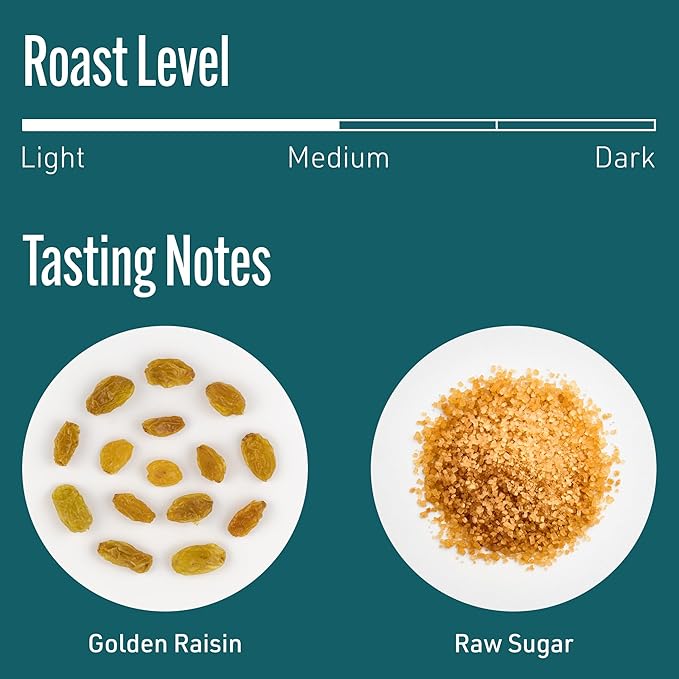 Intelligentsia Coffee, Medium Roast Whole Bean Coffee - Frequency Blend 12 Ounce Bag with Flavor Notes of Golden Raisin, Raw Sugar and Molasses