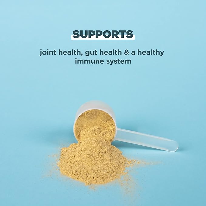 Ancient Nutrition Bone Broth Protein Powder, 20 Servings