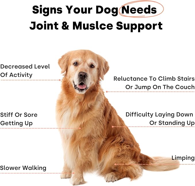 Joint & Recovery | 2-in-1 Joint & Muscle Chews. Joint Support Supplement for Dogs. Helps with Arthritis or Prevention from Hip & Joint Pain. for All Life Stages. Tasty Trout Flavor.