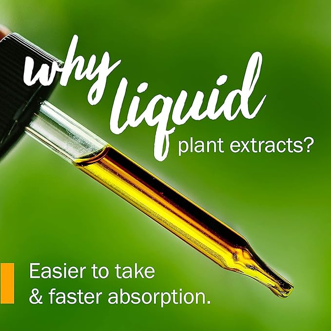 Herb Pharm Dong Quai Liquid Extract 4 Ounce