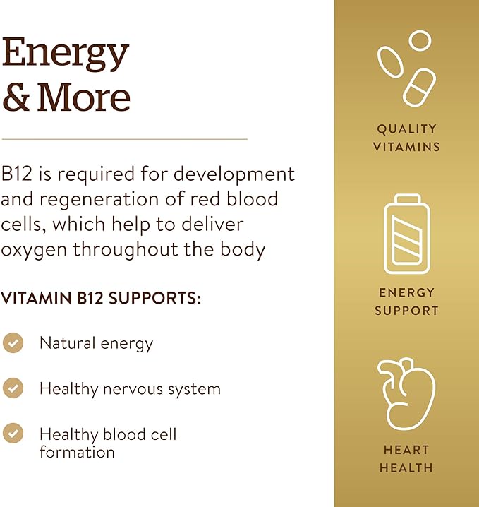 Solgar Vitamin B12 500 mcg Vegetable 250 Count