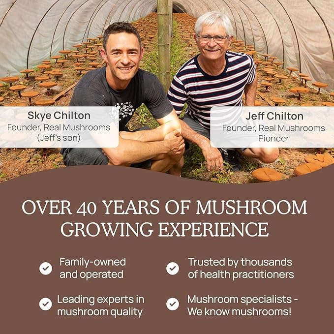 Real Mushrooms Organic Hot Chocolate Mix with 5 Defenders Turkey Tail, Chaga, Maitake, Shiitake, Reishi Mushroom - Cacao Powder Vegan Supplement, Gluten-Free, 15 Servings