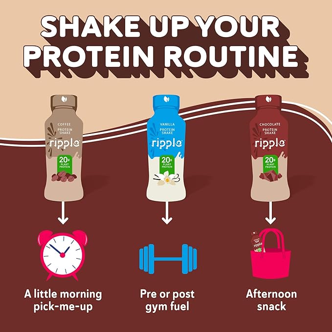 Ripple Vegan Protein Shake 20g Nutritious 12 Oz, 12 Pack