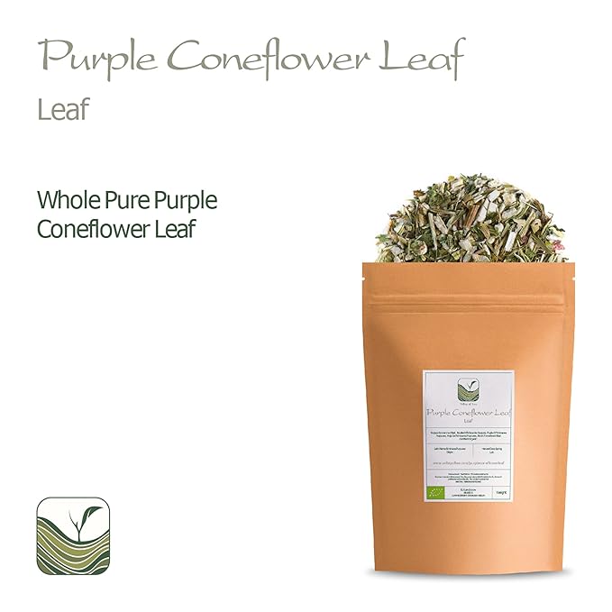 Purple Coneflower Herb Echenecia Tea
