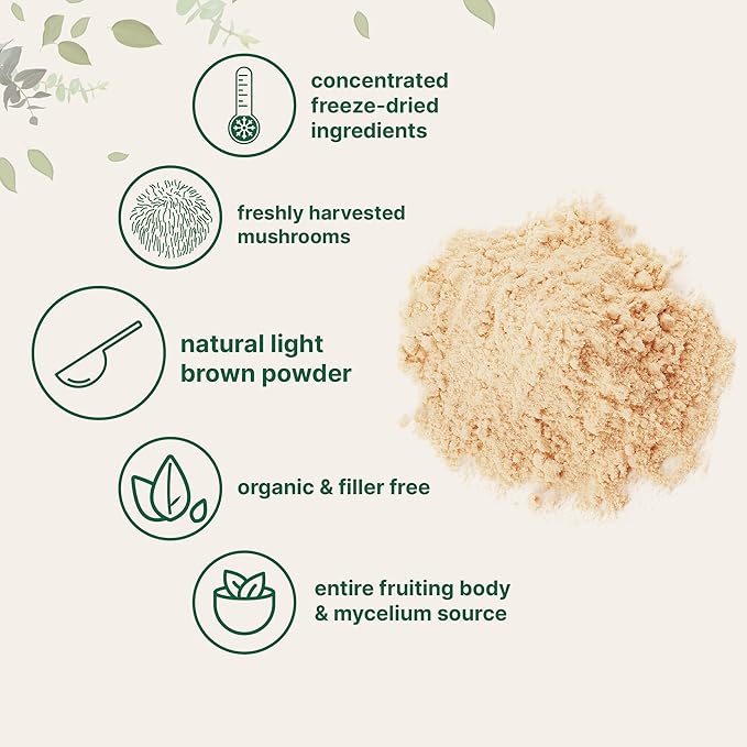 Micro Ingredients Organic Lions Mane Mushroom 16 Ounce