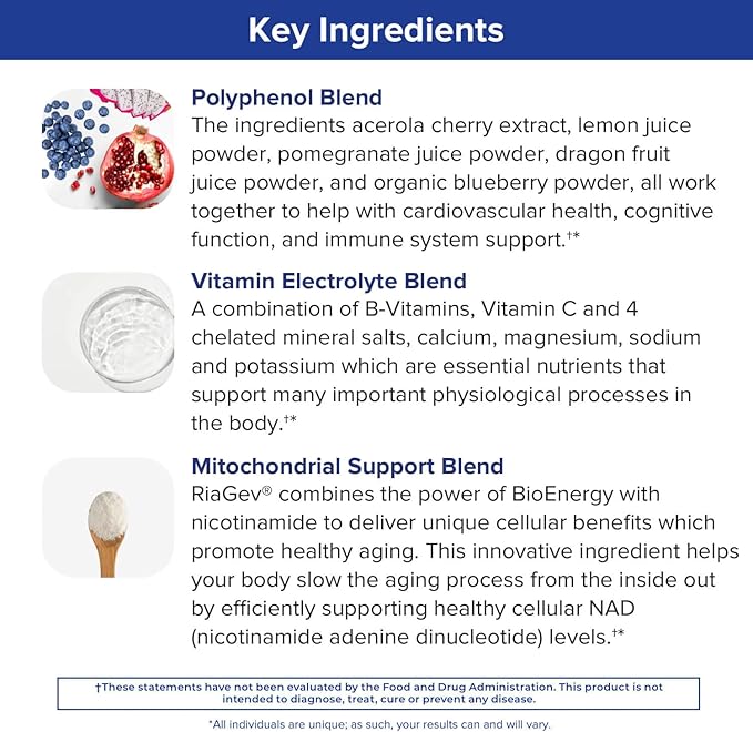Gundry MD Vital Recharge Supplement Powder 30 Servings