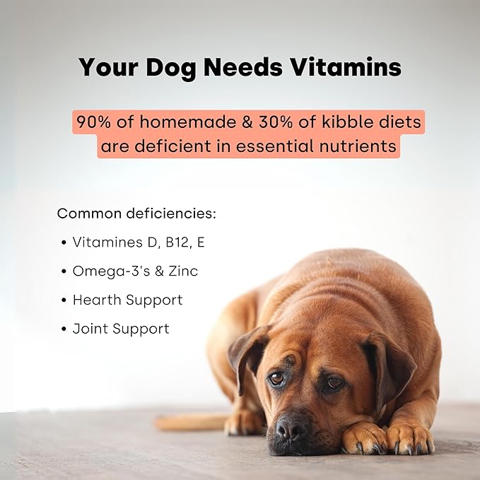 Kayode Daily Multi - Dog Multivitamin & Superfood Chew. Fill Nutrient Gaps. Helps Joints, Digestion, Heart, Brain, Urinary & More. Add Nutrients Dog Food Misses. Great for Puppies Too.