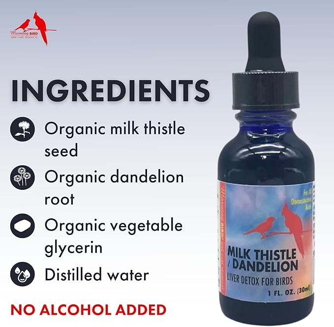 Morning Bird Milk Thistle Dandelion Extract, 1 fl