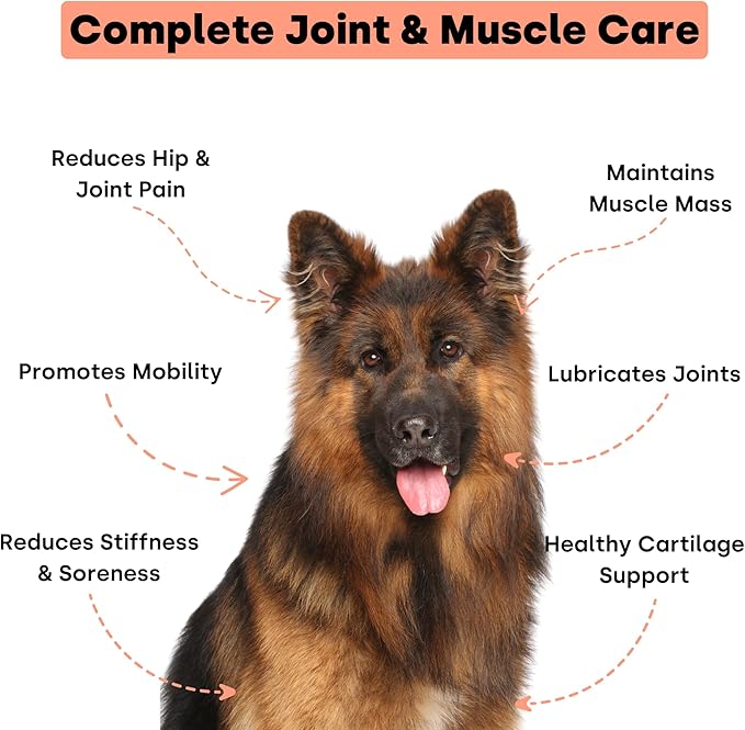 Joint & Recovery | 2-in-1 Joint & Muscle Chews. Joint Support Supplement for Dogs. Helps with Arthritis or Prevention from Hip & Joint Pain. for All Life Stages. Tasty Trout Flavor.