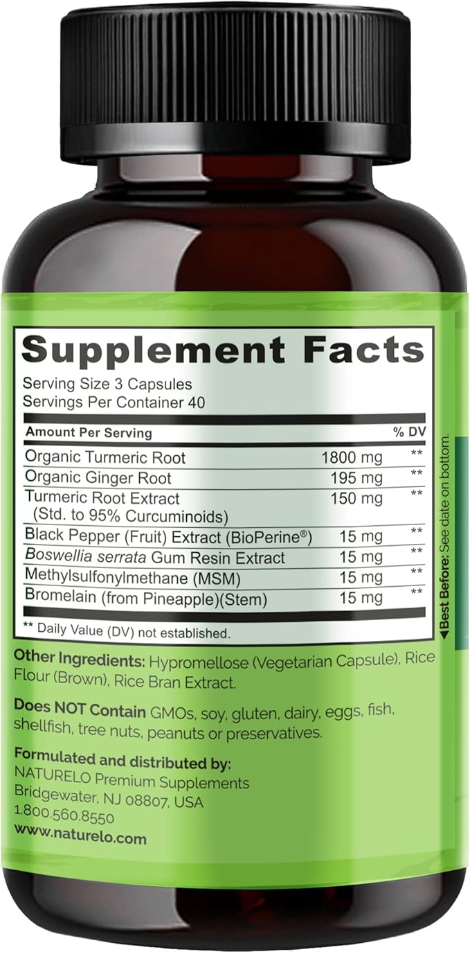NATURELO Turmeric Curcumin with BioPerine 120 Vegan (2 Pack)