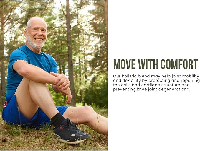 Glucosamine Chondroitin MSM Mobility & Joint (90 Capsules)
