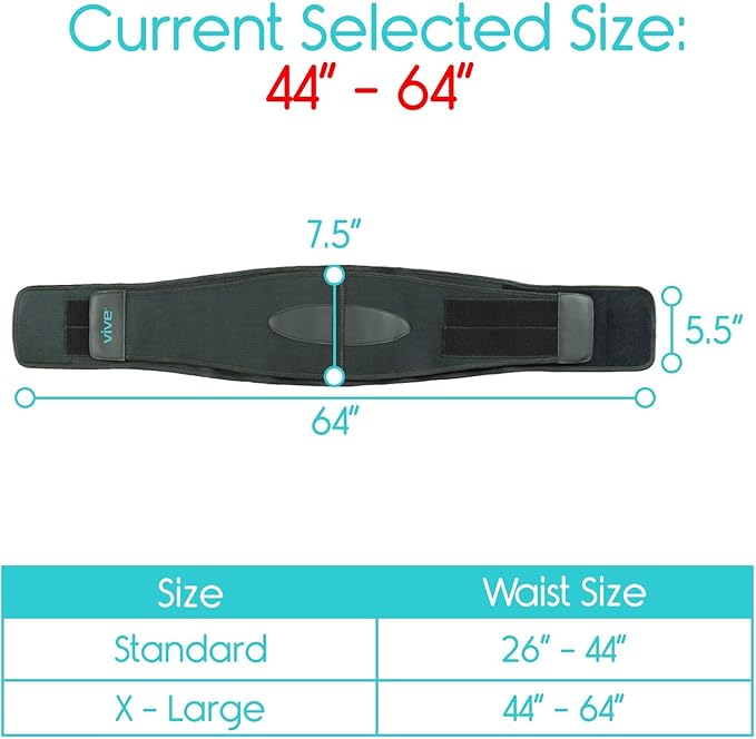 Vive Lower Back Support Brace