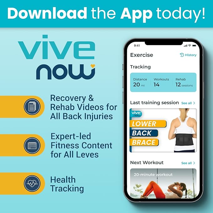 Vive Lower Back Support Brace