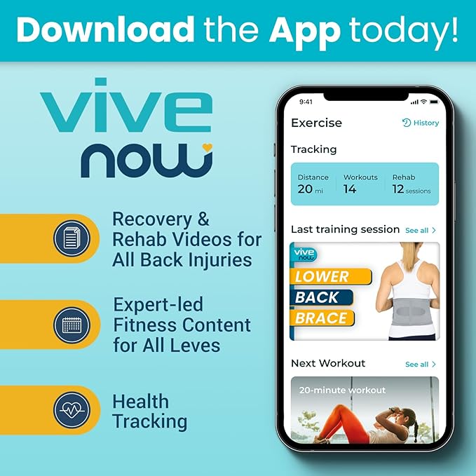 Vive Lower Back Support Brace