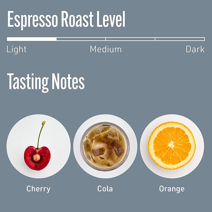 Intelligentsia Coffee, Medium Roast Whole Bean Coffee - Black Cat Espresso with Flavor Notes of Stone Fruit, Dark Sugars and Dark Chocolate, 36 Ounces (3 Bags of 12 Ounces)
