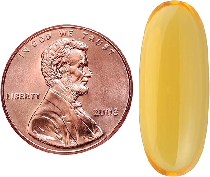 Nature Made Burp-Less Fish Oil 1200 60 Softgels, 3 Supplement 3)
