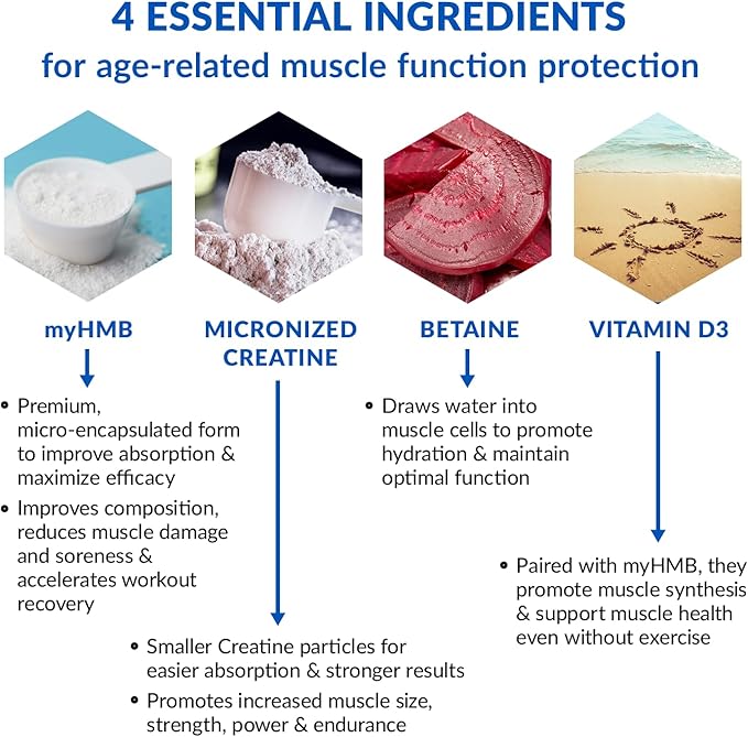 BioTrust Ageless Muscle Builder - Creatine HMB Powder with Vitamin D3 & Betaine - Build & Preserve Naturally Declining Muscle Mass & Strength - Fruit Punch, 30 Servings