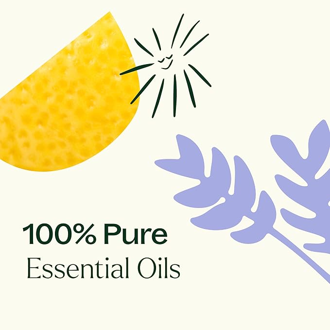 Plant Therapy Sleep Easy Essential Oil 10 mL (1/3 oz)