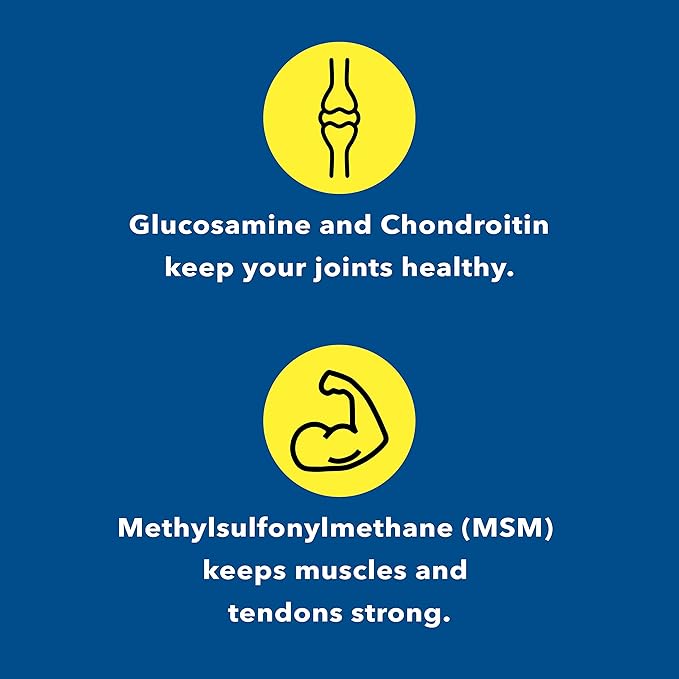 Healthy Joints System Glucosamine Chondroitin MSM 240 Tablets