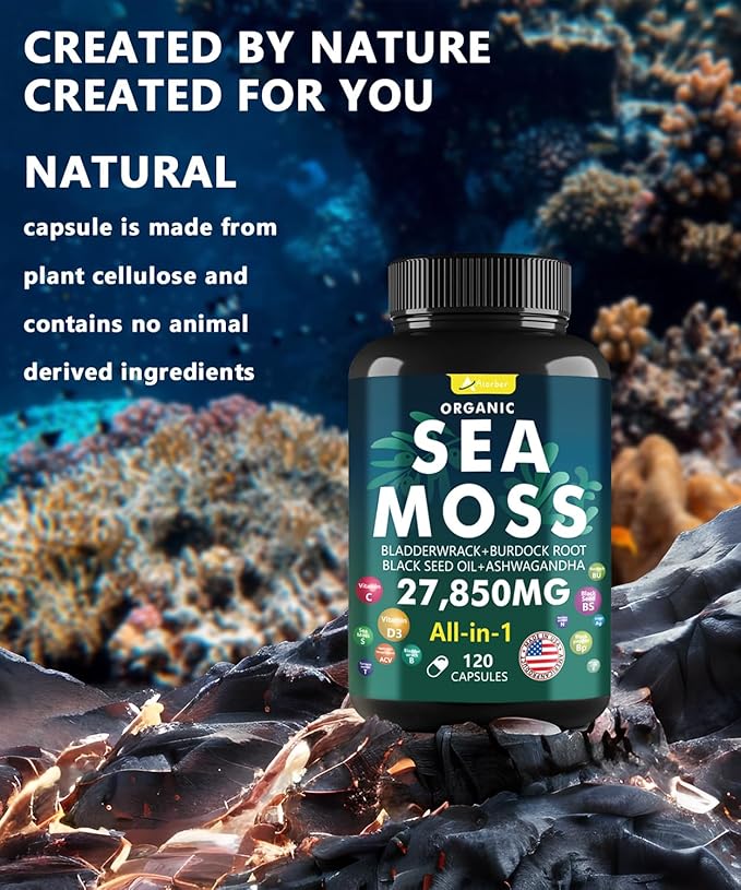 Sea Moss Capsule Complex with Sea Moss, Black Seed Oil, Aşhwagandha, Ginger & Vitamins C, D3-120 Capsules,Superfood Supplements - Advanced Seamoss Pills, Wild Sea Moss Pills, Made in USA