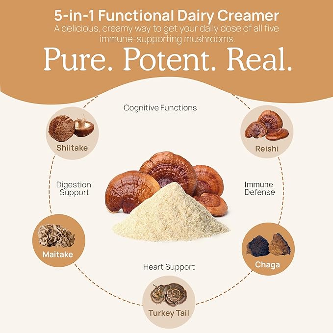 Real Mushrooms Functional Dairy Creamer - Coffee with Mushroom Extracts, Sweetened by Organic Lucuma Powder Maple Sap Powdered for Smoothies 90 Servings