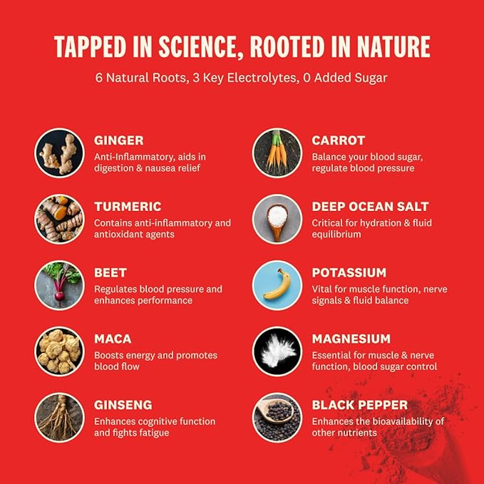 SUPEROOT® - 100% Natural Electrolytes (Fizzy) 6 Roots, 3 Minerals, 0 Added 30 Servings