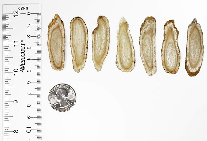 American Ginseng Slices from Wisconsin (Sliced 8oz/Box-O)