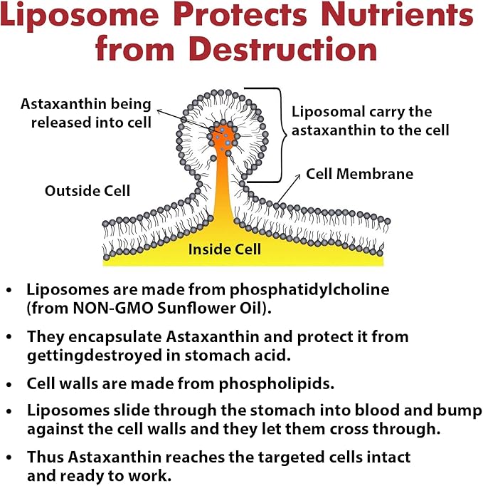 Liposomal 24mg Astaxanthin for MAX Absorption, 480 Softgels