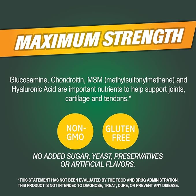 21st Century Glucosamine and Chondroitin Plus 120 Count