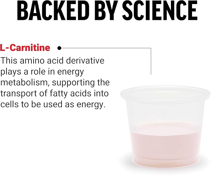 Force Factor L Carnitine Supplement, Liquid L-Carnitine 3000 mg to Help Turn Fat Into Energy, Support Muscle Recovery, and Boost Cellular Energy, Maximum Strength, Non-GMO, Berry Flavor, 16 Oz.