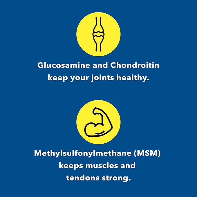 Glucosamine Chondroitin Sulfate with MSM Capsules 180 Count