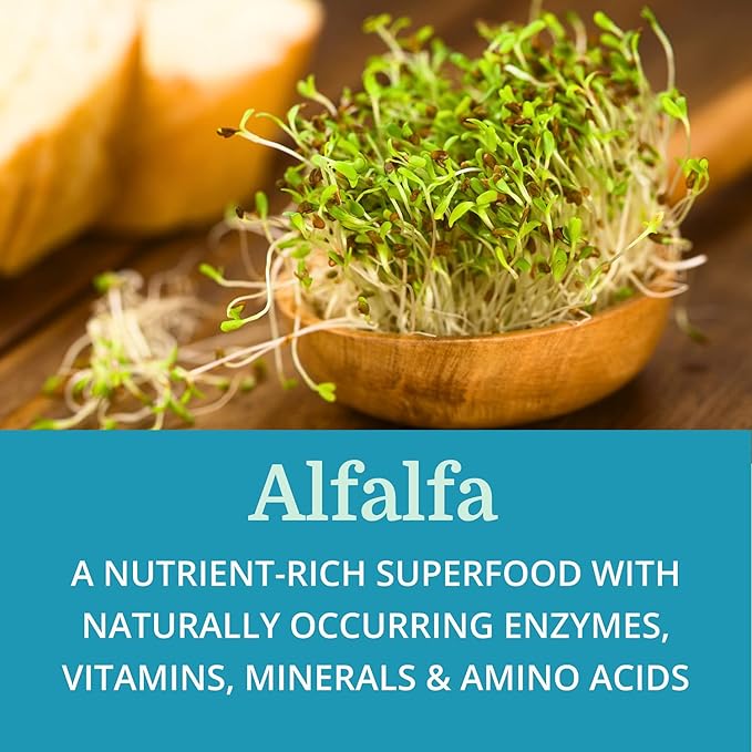 SuperDigest (6 Pack) Best Process Alkaline