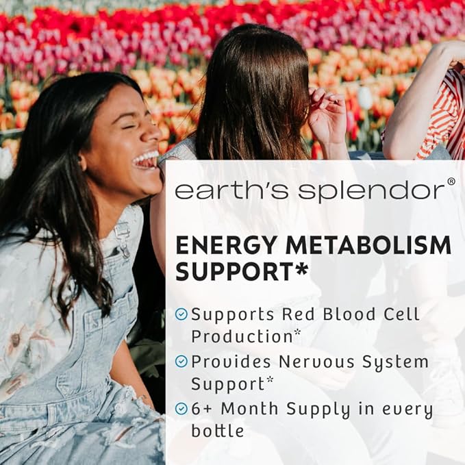 Earth's Splendor Energy Supplement Vitamin B6 (100mg, 250 250 Tablets)