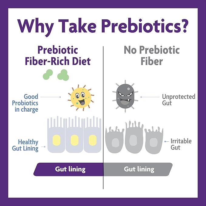 InnovixLabs Prebiotic Fiber Powder 30-Day Supply