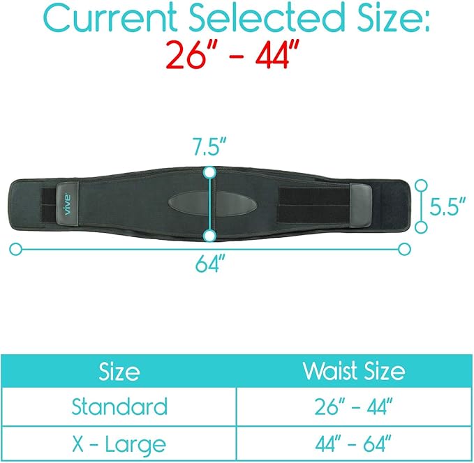 Vive Lower Back Support Brace