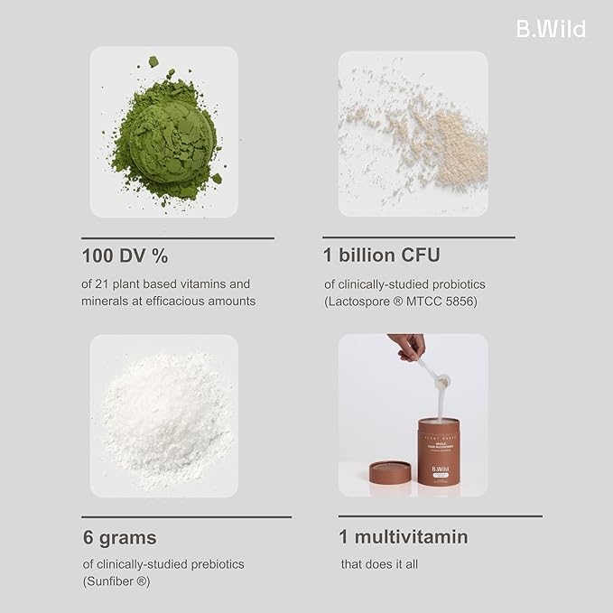 Multivitamin Drink Mix | B.Wild Plant Based Antioxidant Drink | Prebiotics and Probiotics for Digestive Health | Fruit Punch Flavor - 300 g