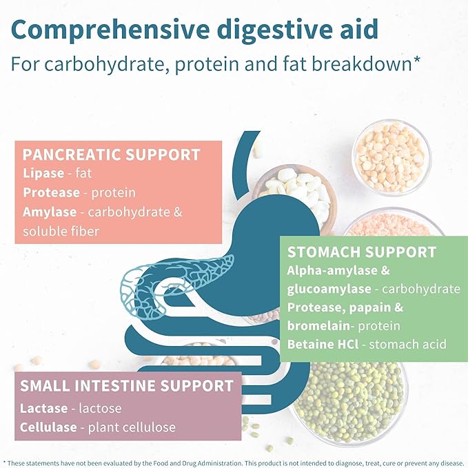 Advanced Digestive Enzymes & Betaine HCl, with Protease, Broad Spectrum, Lipase & Lactase, Plant-Based Vegan Papain & Bromelain, Clean Label, 90 Capsules, by Igennus