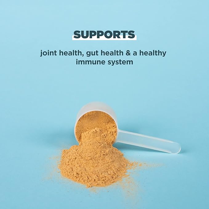 Ancient Nutrition Protein Powder Made from 20g Protein 40 Serving