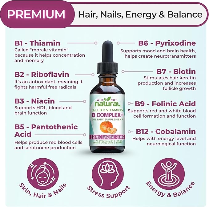 Why Not Natural Vitamin B Complex Liquid Drops - Supplement for Women - Vegan and Sublingual Forms of B1 B2 B3 B5 B6 Biotin Folate and Choline - Plus Blend for Energy Support