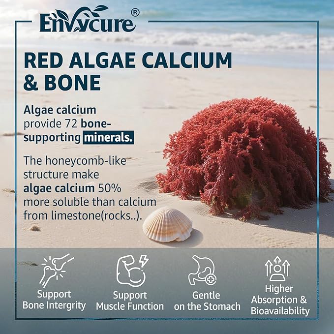 Calcium Gummies 600mg - Calcium Supplement for Women, Ocean Algae Calcium | Vitamin D3, K2, Magnesium | for Bone Strength, Muscle & Immnue | Sustainably Sourced Algae Calcium, 70+ Mineral, 1PACK