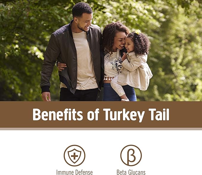 OM MUSHROOM SUPERFOOD Turkey Tail Organic Mushroom Powder, 3.5 Ounce, 50 Servings, Immune Support, Polysacchrides, Beta-Glucans, Gut Health & Holistic Defense Mushroom Supplement