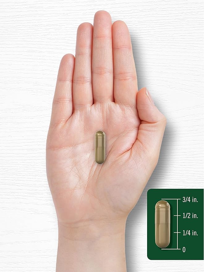 Carlyle Ginkgo Biloba Pills 6000mg | 200 Capsules