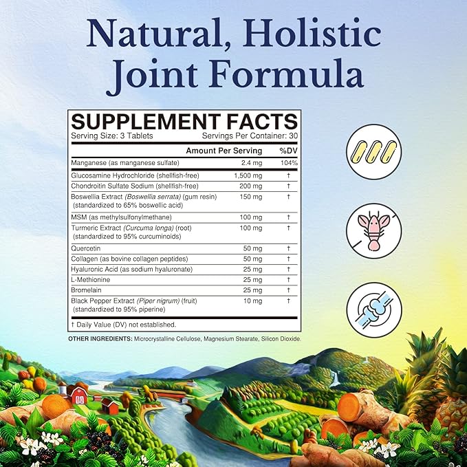 VITALITOWN Glucosamine Chondroitin MSM 12 Joint-Loving 90 Tablets,