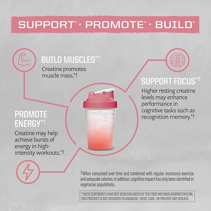 Creatine Monohydrate Powder Micronized PreWorkout Recovery Supplement (50 Servings)