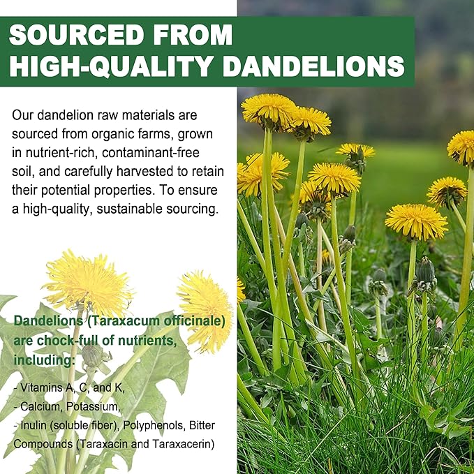 Sugar-Free Dandelion Root Gummies 6902 MG/Serving 2-Pack