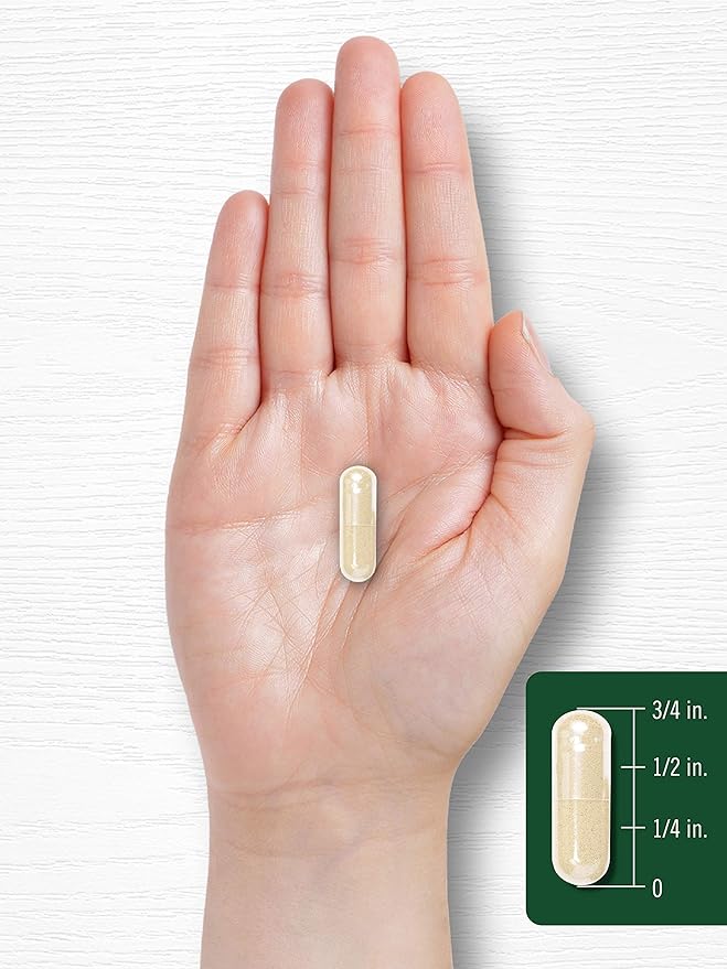 Carlyle White Kidney Bean 6000mg | 200 Count