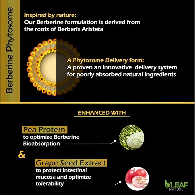 B’Leaf Nature's Berberine Phytosome Vegetarian Capsules 60 Capsules, 1100mg per